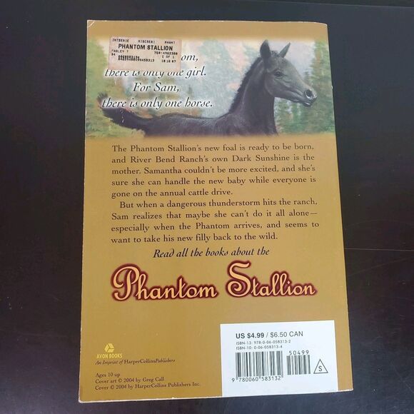 Phantom Stallion Book Lot Of 3 (1, 3, 12) By Terri Farley Paperback Avon - Picture 5 of 13